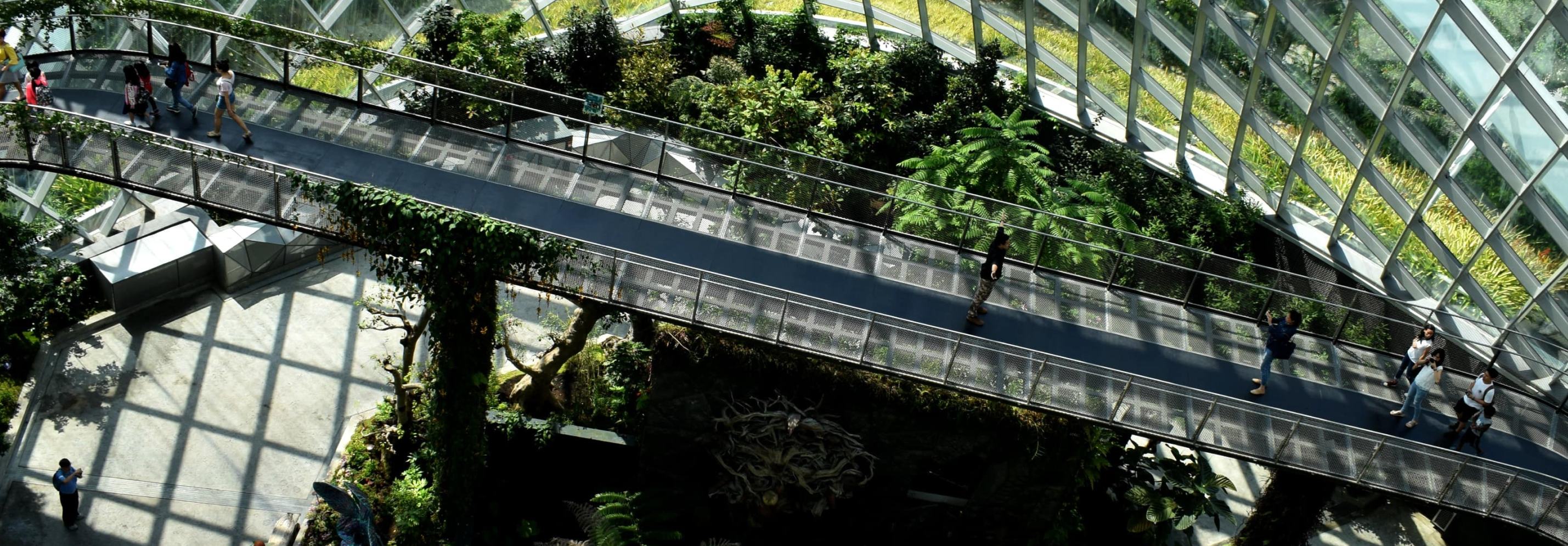 People walking along an elevated walkway inside a large glass-enclosed botanical garden filled with lush greenery.