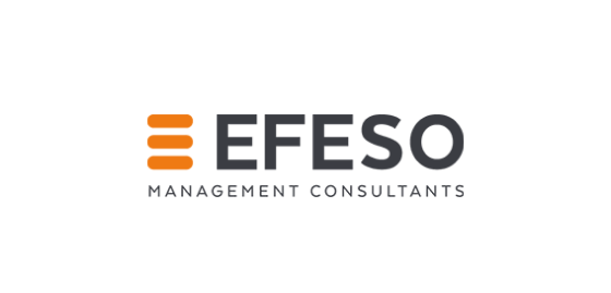 Efeso Management Consultants