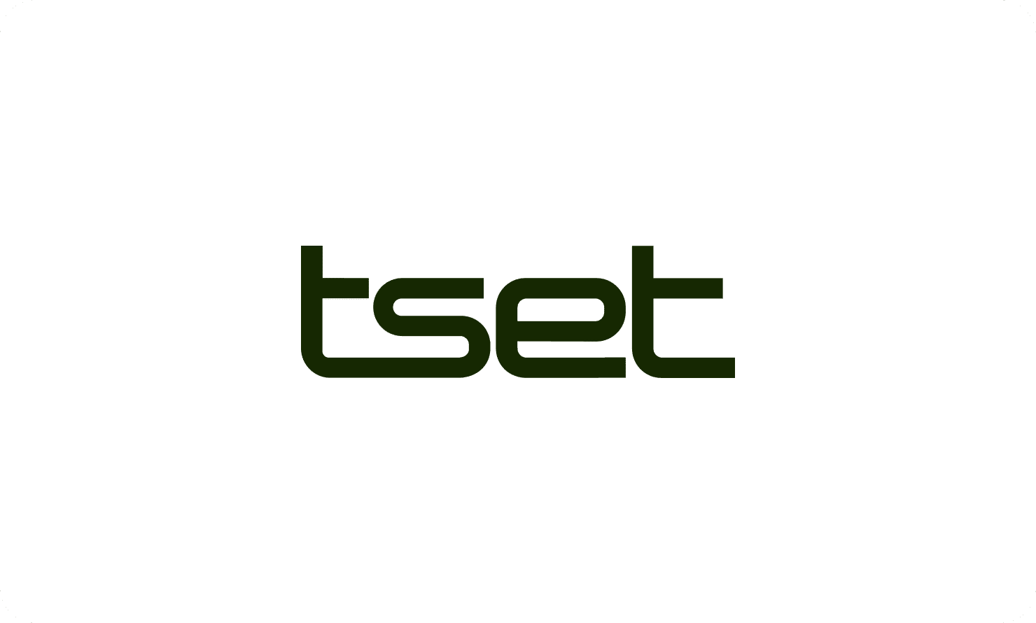 Tset logo centered on white background, used for internal webinar sessions.